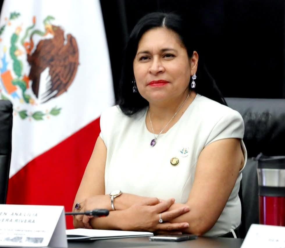 Ana Lilia Rivera es designada Coordinadora Adjunta de la Comisión Coordinadora Ejecutiva del FPH-ALC
